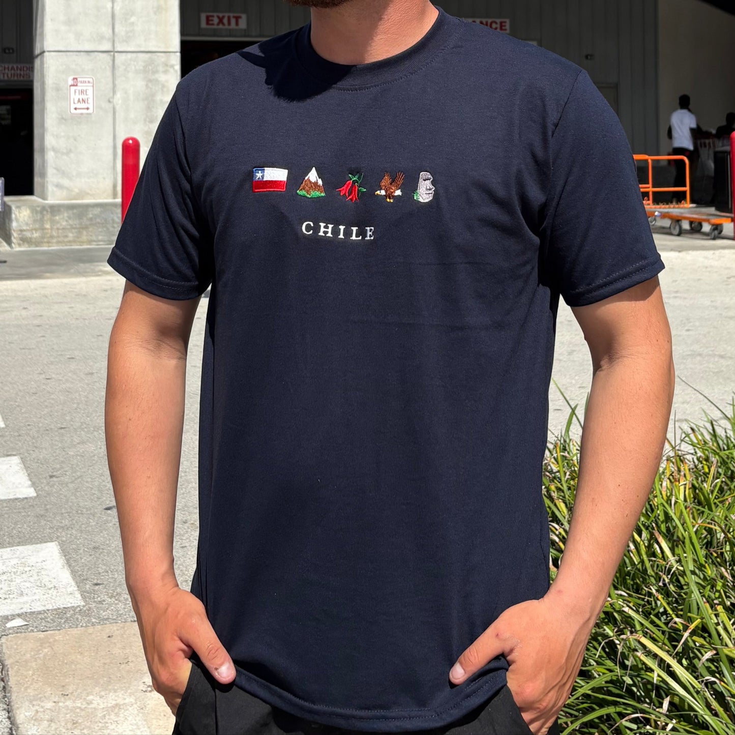 Polera de Chile bordada Unisex - Chilenos en Us