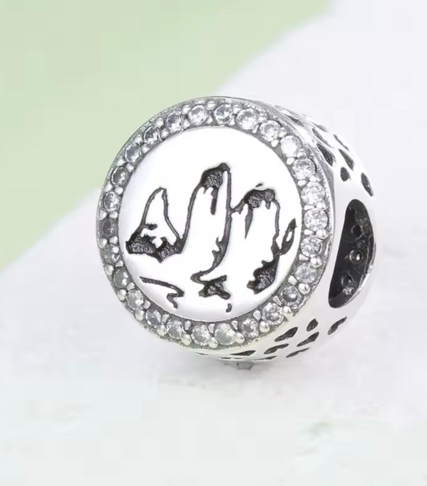 Charm de Países en Plata 925