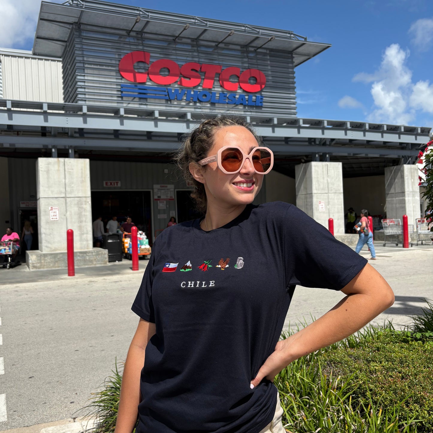 Polera de Chile bordada Unisex - Chilenos en Us
