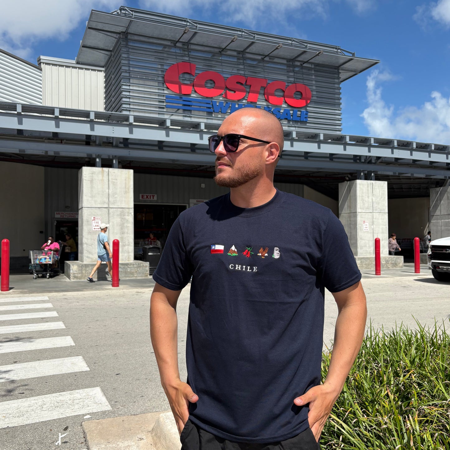 Polera de Chile bordada Unisex - Chilenos en Us